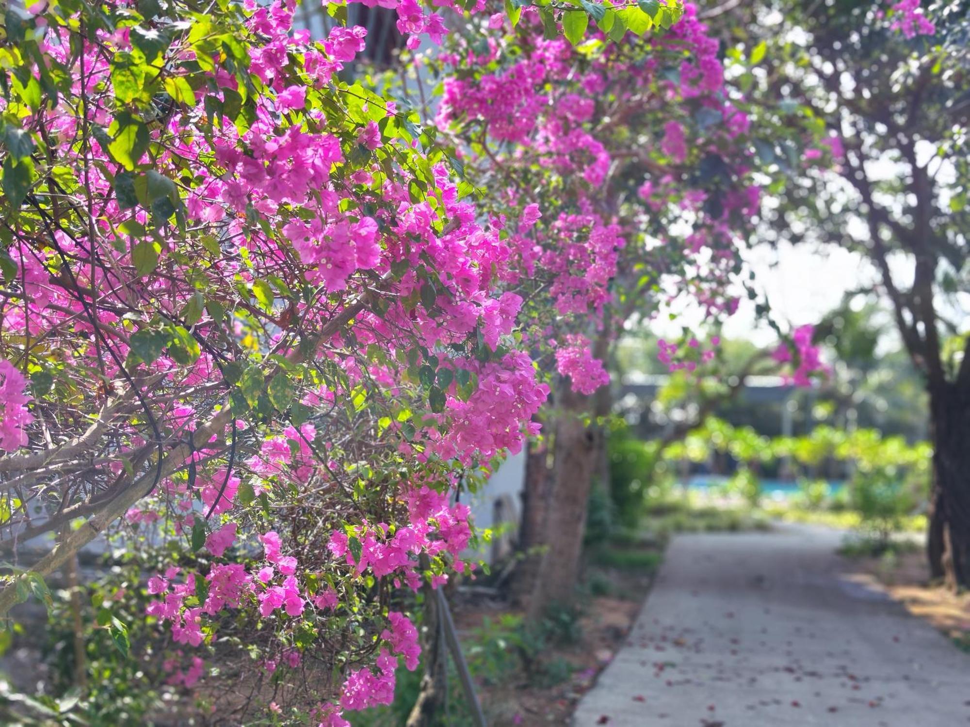 Y Village Resort Phú Quốc Eksteriør billede